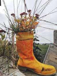 Close-up of yellow against sky