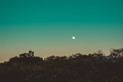 Scenic view of trees against clear sky at dusk