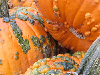 Full frame shot of pumpkins at market