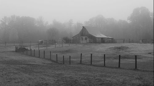 Bare trees on field during foggy weather