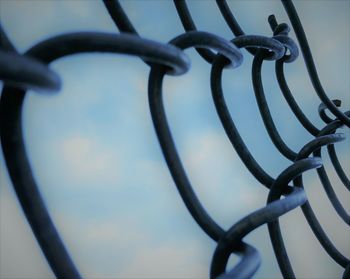 Close-up of chainlink fence