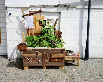 Wooden drawer used for growing plants