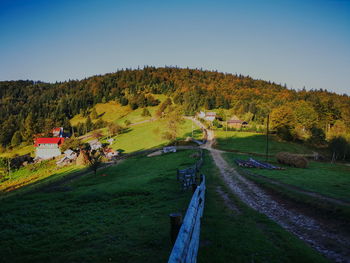 Scenic view of trees on field against sky during autumn