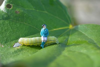 Close-up of figurine by caterpillar on leaf