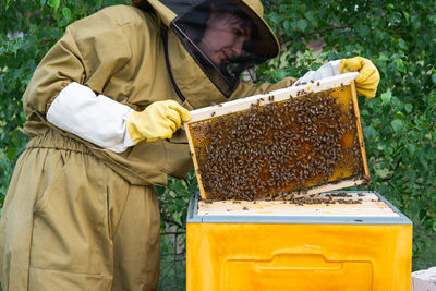 Midsection of man holding bee