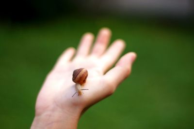 Close-up of human hand