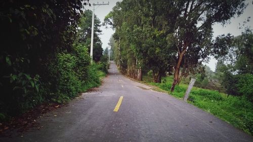 Empty road amidst trees against sky