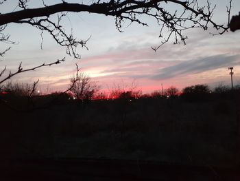 Silhouette bare trees on field against sky at sunset