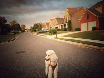 Empty road with buildings in background