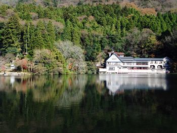 Scenic view of lake by trees