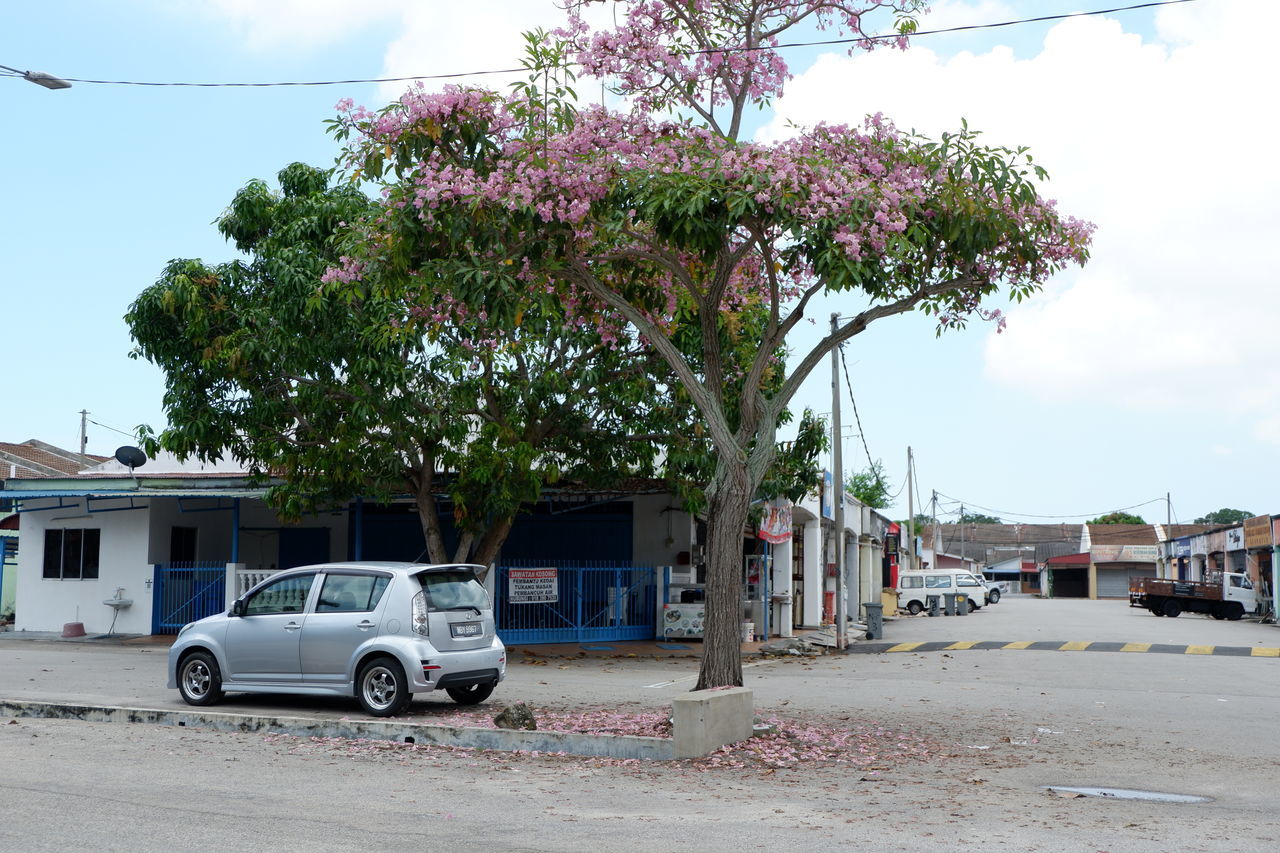 CARS PARKED ON STREET BY BUILDING