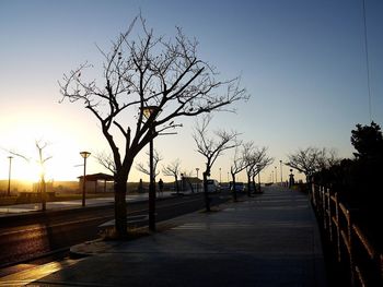 Road passing through bare trees
