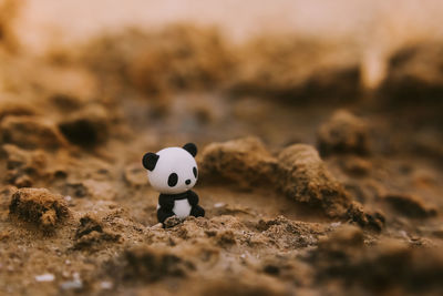Close-up of toy panda on sandy field