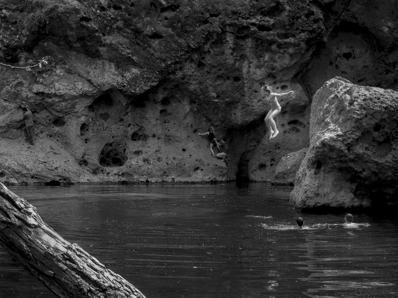 water, rock - object, waterfront, rock formation, nature, rock, river, high angle view, beauty in nature, day, tranquility, sea, outdoors, rippled, cliff, lake, animal themes, scenics, tranquil scene, animals in the wild