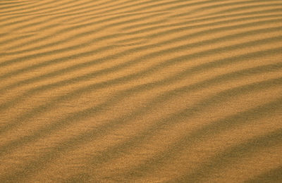 Gorgeous sand ripple pattern of huacachina desert in ica province of peru, south america