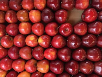 Full frame shot of plums