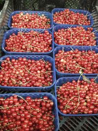 High angle view of red currants for sale at market