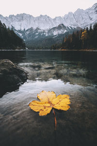 Scenic view of lake and mountains during autumn