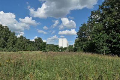 Trees growing on field against sky