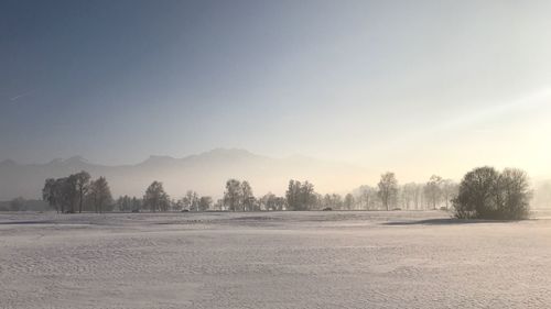 Snow covered trees against sky