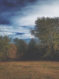 Trees on field against cloudy sky