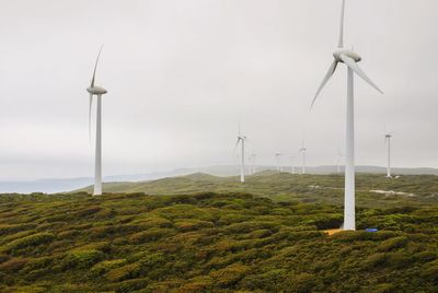 Wind turbines on field against sky