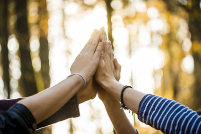 Cropped hands against forest