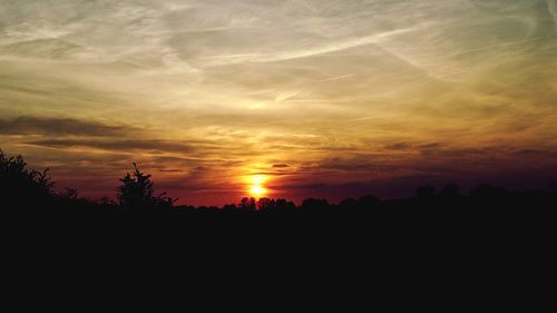 Silhouette trees against sky during sunset