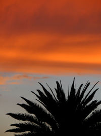 Silhouette palm tree against romantic sky at sunset