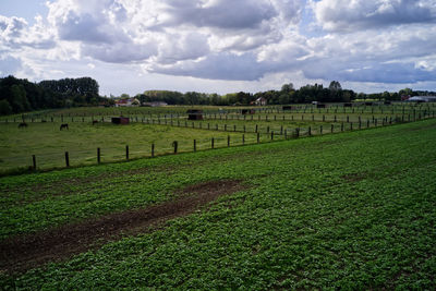 Scenic view of field against sky