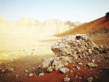 Scenic view of desert