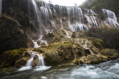 Scenic view of waterfall in forest