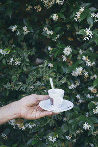 Person holding ice cream cone against plants