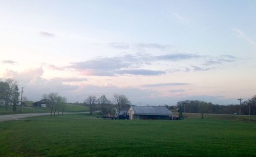 Scenic view of grassy field against sky