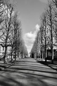 Road amidst bare trees against sky