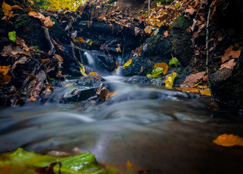 Stream flowing through rocks in forest