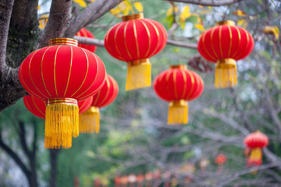 Close-up of red lanterns