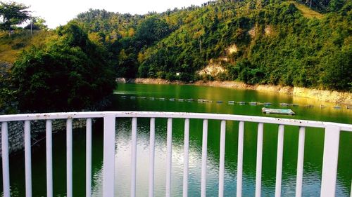 Reflection of trees in lake