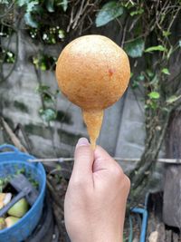 Cropped hand of woman holding fruit