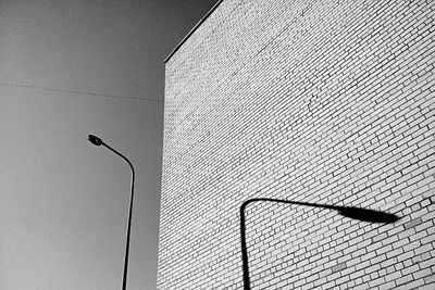 Low angle view of bird perching against sky