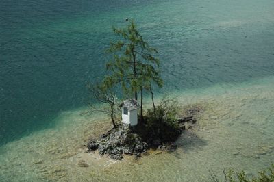 High angle view of plants and sea