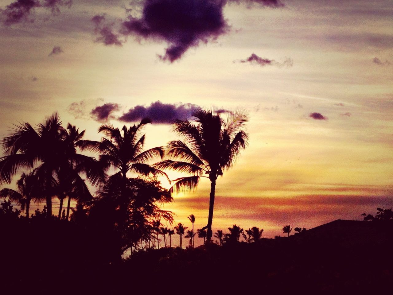 silhouette, sunset, sky, tranquility, tranquil scene, tree, scenics, beauty in nature, palm tree, nature, cloud - sky, idyllic, cloud, outline, orange color, landscape, dusk, dramatic sky, outdoors, non-urban scene