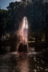 Illuminated fountain in lake against trees