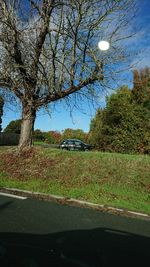 Road by trees on field against sky