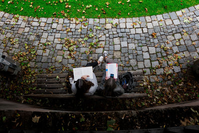 High angle view of friends sitting with books on bench at park