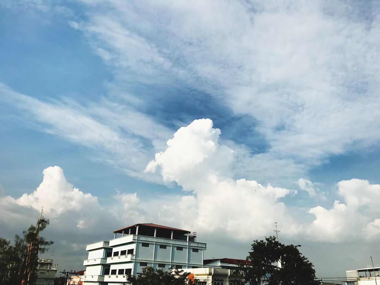 LOW ANGLE VIEW OF BUILDINGS AND TREES AGAINST SKY