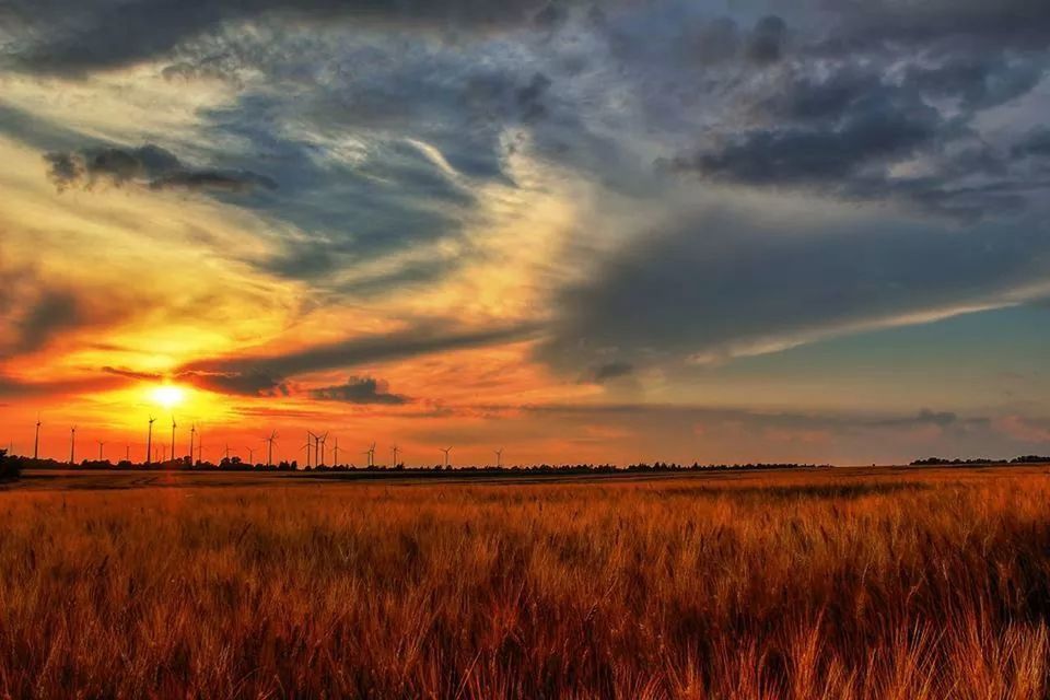 sunset, sky, field, tranquil scene, sun, landscape, scenics, cloud - sky, tranquility, orange color, beauty in nature, nature, grass, rural scene, idyllic, cloudy, sunlight, cloud, dramatic sky, sunbeam