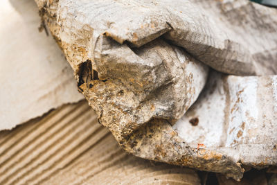 Close-up of bread