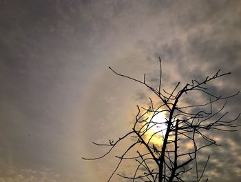 Low angle view of silhouette tree against sky