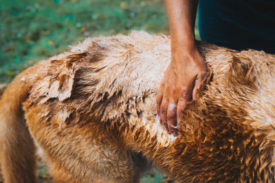 Close-up of human hand